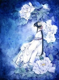 駙馬你不乖